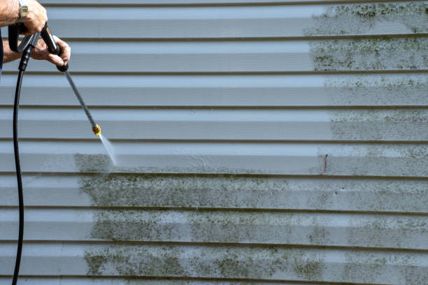 Affordable siding repair and maintenance services in Braddock Hills, PA